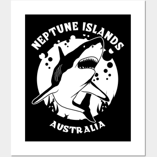 Neptune Islands Shark Diving Posters and Art